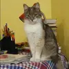 Отзыв от Валентина Бочарова